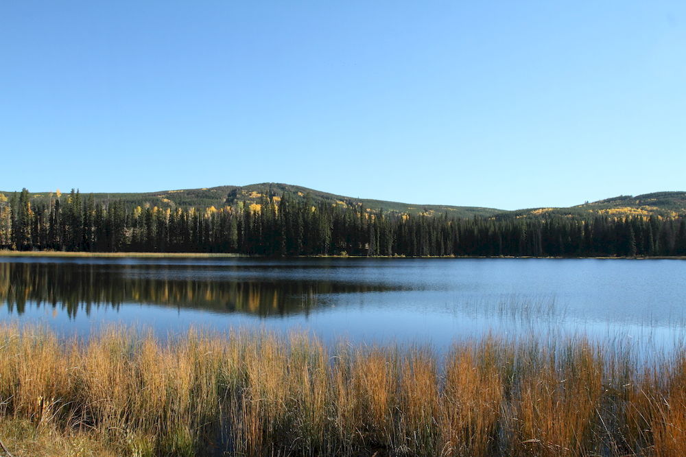קמלופס Lac Le Jeune Resort & Nature Centre מראה חיצוני תמונה